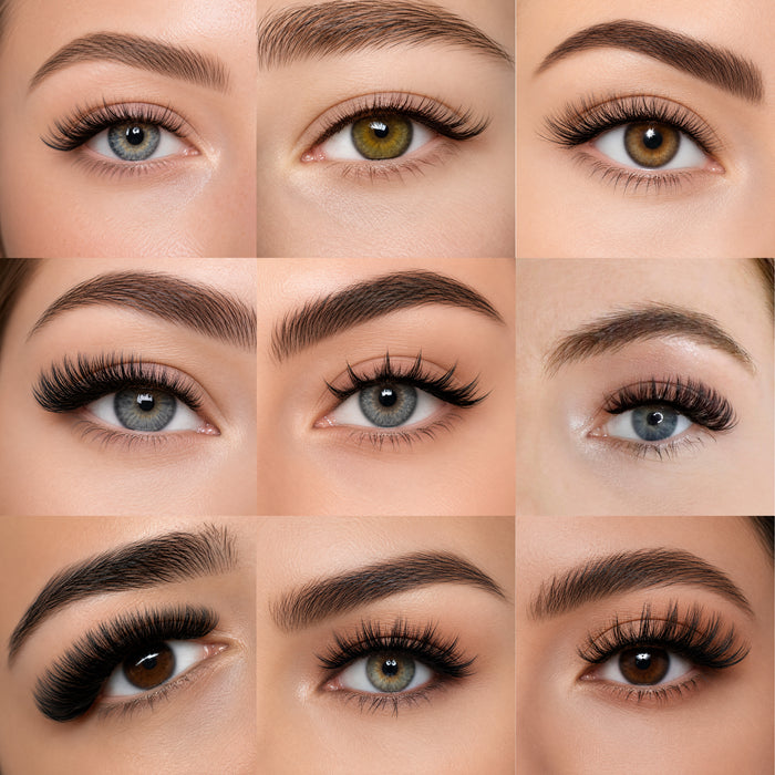No Glue Lash Collections