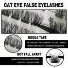 Cat Eye Lash